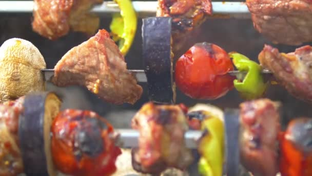 Tomato, meat, eggplant and mushroom is baked on skewers kebabs, barbeque, brazier, close up — Stock Video