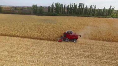 Dnepropetrovsk, Ukrayna - 4 Ekim 2015: Birleştirme makinesi çiftlik tarlasında yulaf topluyor. havadan çekim, tarla mısırı