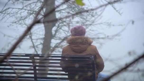 Vieil Homme Solitaire Assis Sur Banc Regardant Brouillard Matin Hiver — Video