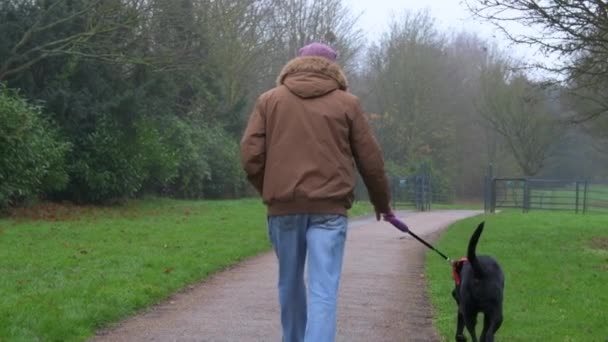 Plan Ralenti Homme Âgé Promenant Son Chien Dans Parc — Video