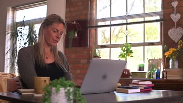 Een Creatieve Vrouw Die Thuis Werkt Haar Laptop Maakt Aantekeningen — Stockvideo