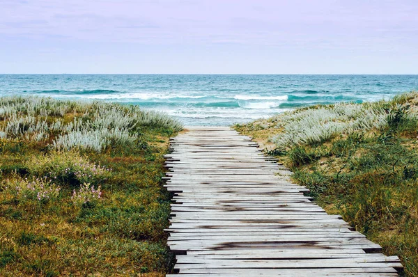 Wooden path guiding to a sandy beach. summer day on the beach. Warm days. Exotic destination