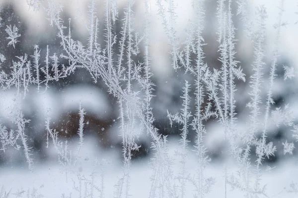 Холодное и морозное утро в стеклянном окне Стоковое Фото