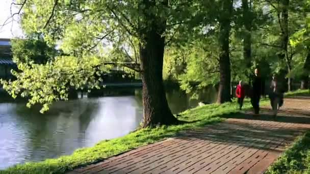 Piękna ścieżka w parku Time-lapse. — Wideo stockowe