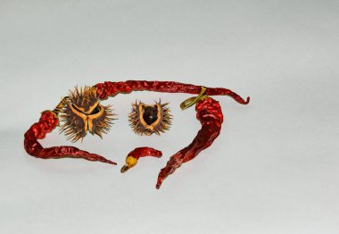 Olgun kestane ve yakın plan kırmızı biber kapsülü.