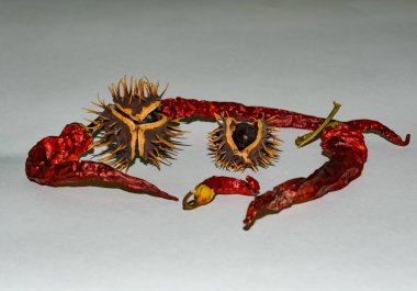 Olgun kestane ve yakın plan kırmızı biber kapsülü.