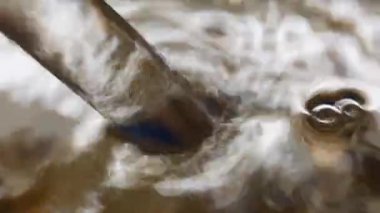 Su bir akvaryumdan akvaryuma akıyor.