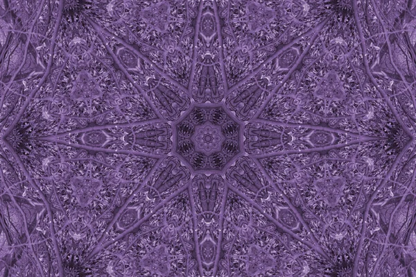 紫色曼陀罗星级 — 图库照片