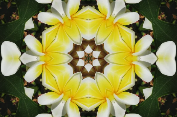 Mandala Bakgrunn – stockfoto