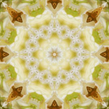 Yeşil ve beyaz Mandala arka plan