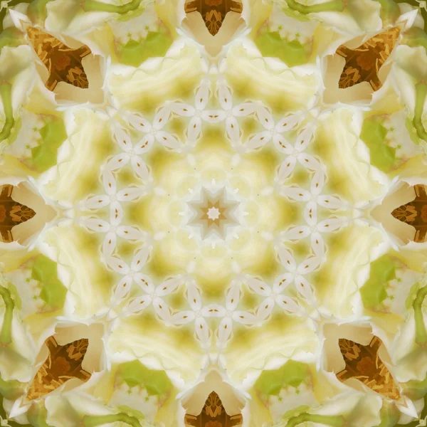 Grün und weiß Mandala Hintergrund — Stockfoto
