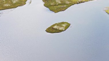 Kuzey Tundra manzarasında Yeşil ve Beyaz Yosun ve Lichens ile kaplı Issız Göl Adası 'nda Yüksek Açı Uçan Dolly / Zoom
