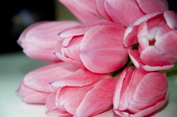 Bouquet de tulipes roses — Photo