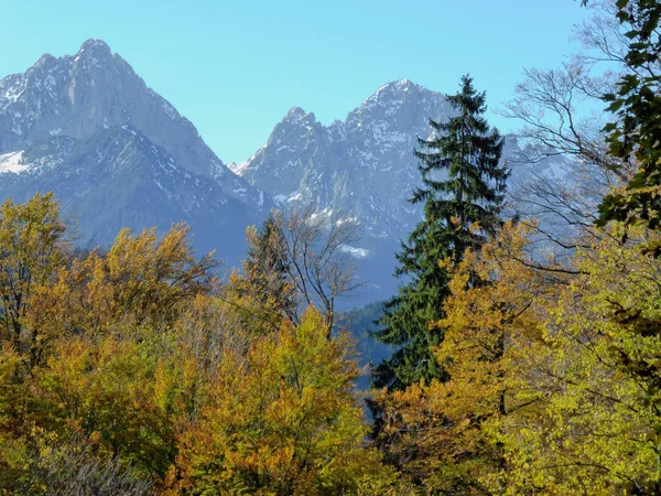 Belleza otoño en los Alpes —  Fotos de Stock