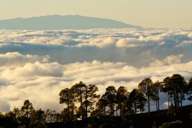 La gomera - Tenerife güzel görünümünden