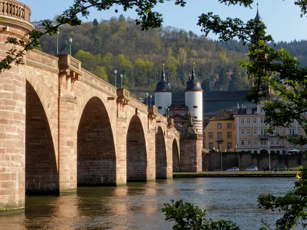 Heidelberg starý most na jaře — Stock fotografie