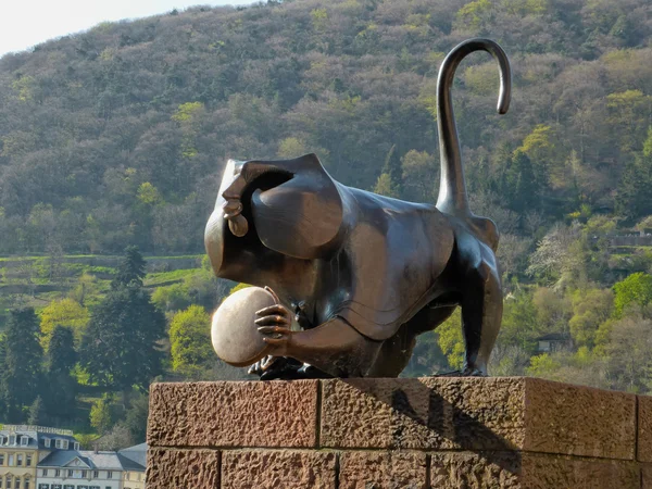 Heidelberg-affe mit spiegel — Stockfoto