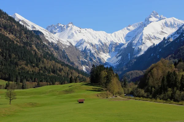 Primavera de beleza em alpes — Fotografia de Stock