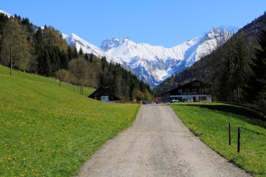 Güzellik bahar Alpleri'nde
