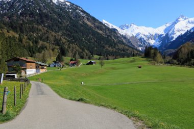 Güzellik bahar Alpleri'nde