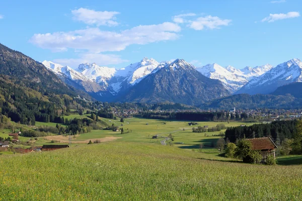 Beauty spring in alps — Stock Photo, Image