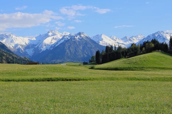 Krása na jaře v Alpách — Stock fotografie