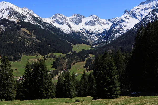 Krása na jaře v Alpách — Stock fotografie