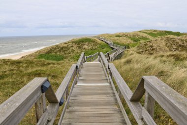 Sylt Almanya'nın güzel ada