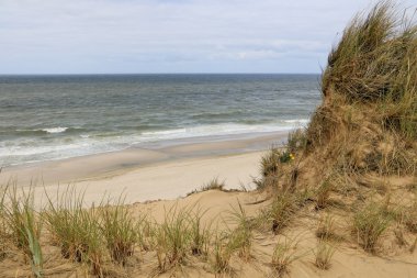 Kuzey Avrupa - güzel sahil şeridi 