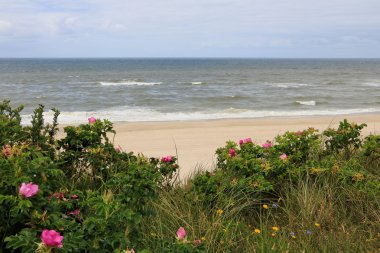 Kuzey Avrupa - güzel sahil şeridi 