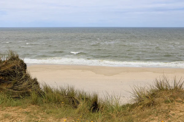 北欧-美丽的海岸线 — 图库照片