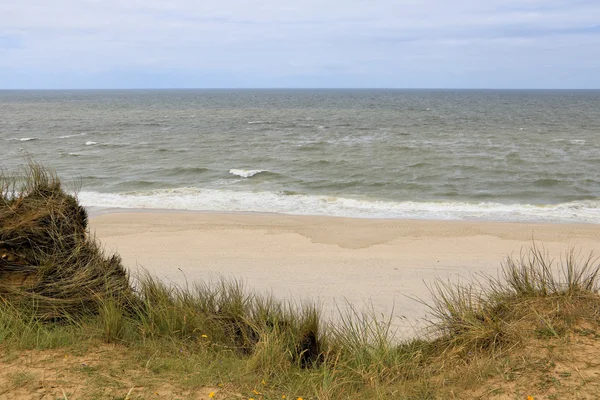 Europe du Nord - belle ligne de côte — Photo