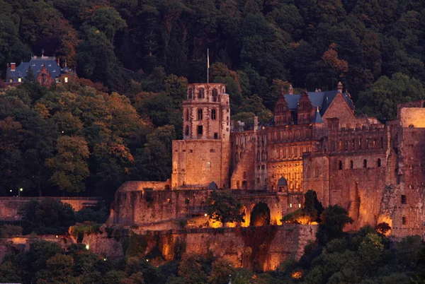 Heidelberger Schloss — Foto de Stock