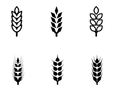 siyah soyut buğday kulakları el çizimi