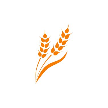 Buğday kulağı simgeleri ayarlandı. Vektör illüstrasyonu beyaz arkaplanda izole edildi.