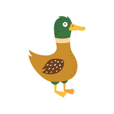 Çizgi film ördeği, beyaz izole arkaplanda vektör çizimi.