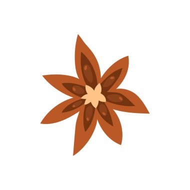 Anason. İzole edilmiş beyaz arkaplanda vektör illüstrasyonu.