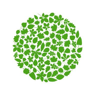 Yeşil yapraklar dizayn elementleri. Bu resim bir vektör illüstrasyonu.