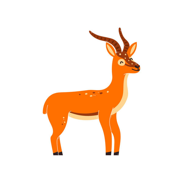 Vector illustration of a gazelle, antelope on a white isolated background.