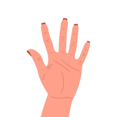 Eldeki parmaklar sayılıyor, beyaz arkaplanda izole edilmiş, vektör illüstrasyonu.