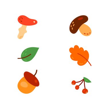 Farklı mantar türleri seti, vektör illüstrasyonu.