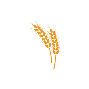 Buğday kulakları. Logo. İzole edilmiş beyaz arkaplanda vektör illüstrasyonu.