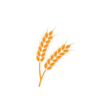 Buğday kulakları. Logo. İzole edilmiş beyaz arkaplanda vektör illüstrasyonu.