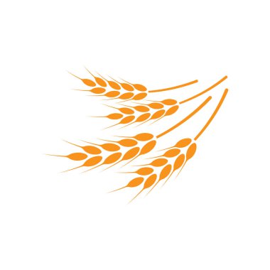 Buğday kulakları. Logo. İzole edilmiş beyaz arkaplanda vektör illüstrasyonu.