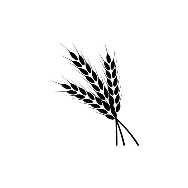 Buğday Kulakları Logo Zole Edilmiş Beyaz Arkaplanda Vektör Illüstrasyonu — Stok Vektör