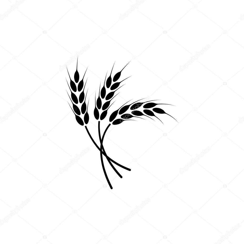 Ears of wheat. Logo. Vector illustration on white isolated background.