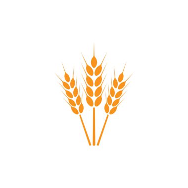 Buğday kulakları. Logo. İzole edilmiş beyaz arkaplanda vektör illüstrasyonu.