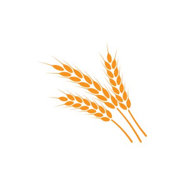 Buğday kulakları. Logo. İzole edilmiş beyaz arkaplanda vektör illüstrasyonu