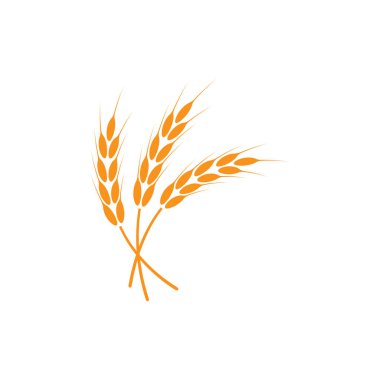 Buğday kulakları. Logo. İzole edilmiş beyaz arkaplanda vektör illüstrasyonu
