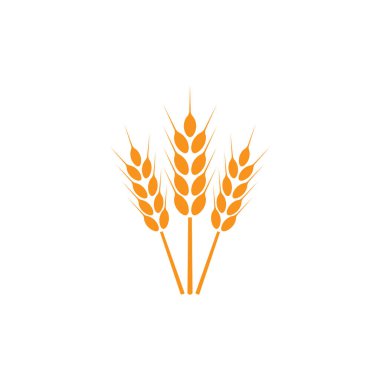 Buğday kulakları. Logo. İzole edilmiş beyaz arkaplanda resimler.